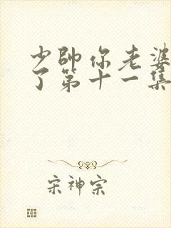 少帅你老婆又跑了第十一集