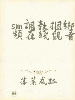 sm调教捆绑视频在线观看