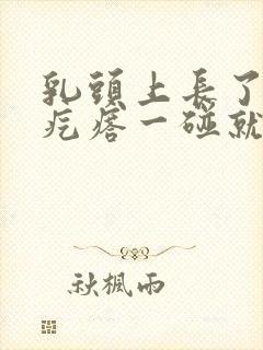 乳头上长了个肉疙瘩一碰就疼怎么回事封面