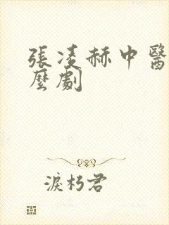 张凌赫中医是什么剧