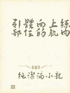 引体向上练什么部位的肌肉