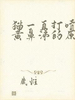 猫一直打喷嚏流黄鼻涕的原因封面