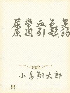 尿带血色是什么原因引起的