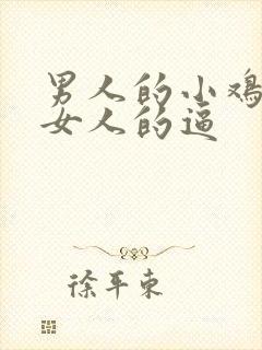 男人的小鸡鸡插女人的逼