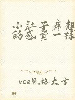 小肚子疼想拉屎的感觉一样怎么回事封面