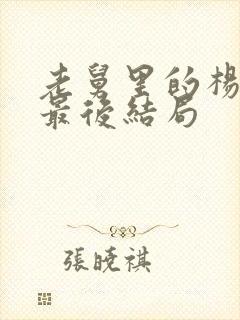 老舅里的杨小姐最后结局