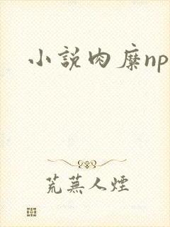 小说肉糜np