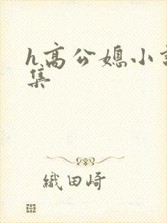 h高公媳小说合集