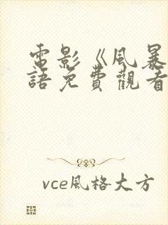 电影《风暴》国语免费观看