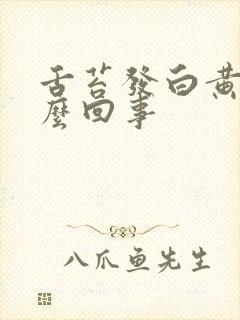 舌苔发白黄是怎么回事