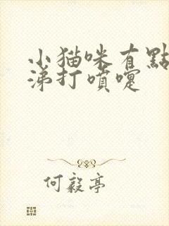 小猫咪有点流鼻涕打喷嚏