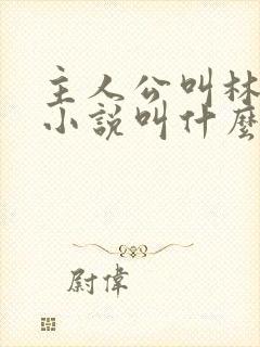 主人公叫林烨的小说叫什么名字