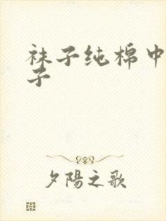 袜子纯棉中筒袜子