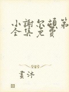 小谢尔顿第一季全集免费