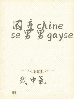 国产chinese男男gayseⅹporn网站