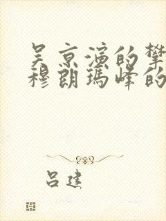 吴京演的攀登珠穆朗玛峰的电影