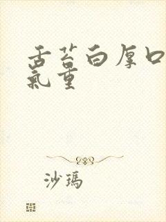 舌苔白厚口苦湿气重