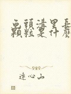 龟头沟里长白色颗粒是什么东西