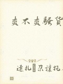 爽不爽骚货h封面