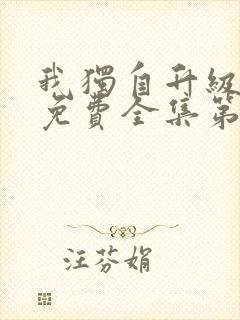 我独自升级动漫免费全集第二季