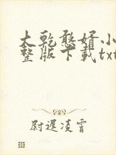大乾憨婿小说完整版下载txt