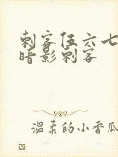 刺客伍六七十大暗影刺客