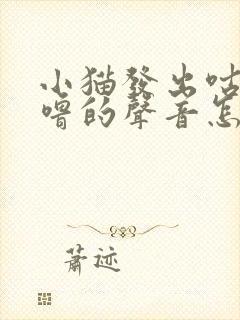 小猫发出咕噜咕噜的声音怎么回事