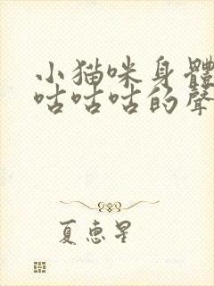 小猫咪身体发出咕咕咕的声音