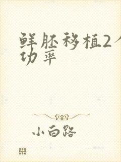 鲜胚移植2个成功率