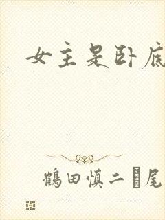 女主是卧底小说