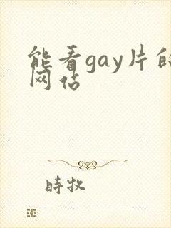 能看gay片的网站