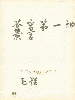 苍穹第一神功 景言封面