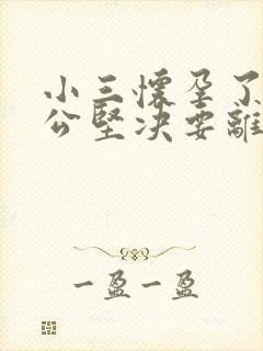 小三怀孕了,老公坚决要离婚