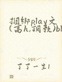捆绑play文(高h,调教)bl