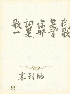 歌词你是我的唯一是哪首歌的歌词