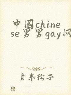 中国chinese男男gay网站