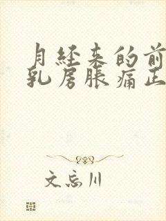 月经来的前几天乳房胀痛正常吗