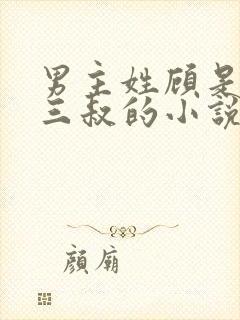 男主姓顾是女主三叔的小说封面
