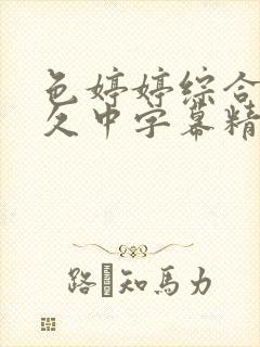 色婷婷综合久久久中字幕精品久久