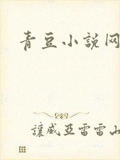 青豆小说网辣文
