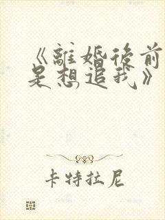 《离婚后前夫总是想追我》