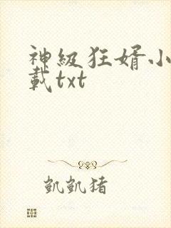 神级狂婿小说下载txt