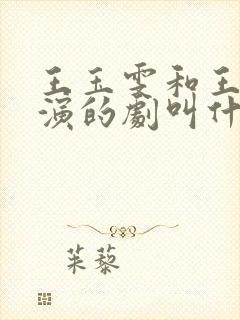 王玉雯和王安宇演的剧叫什么