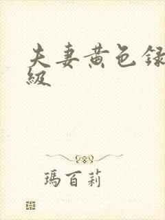 夫妻黄色录像一级封面