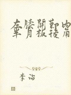 左膝关节内外侧半月板后角损伤封面