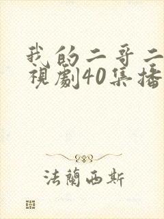 我的二哥二嫂电视剧40集播放
