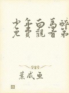 少年白马醉春风免费观看第17集