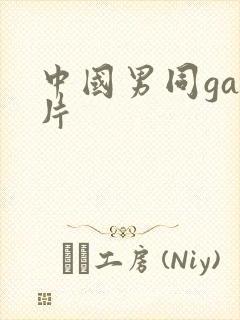 中国男同gay片封面