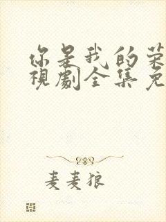 你是我的荣耀电视剧全集免费西瓜封面