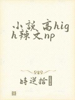 小说 高high辣文np